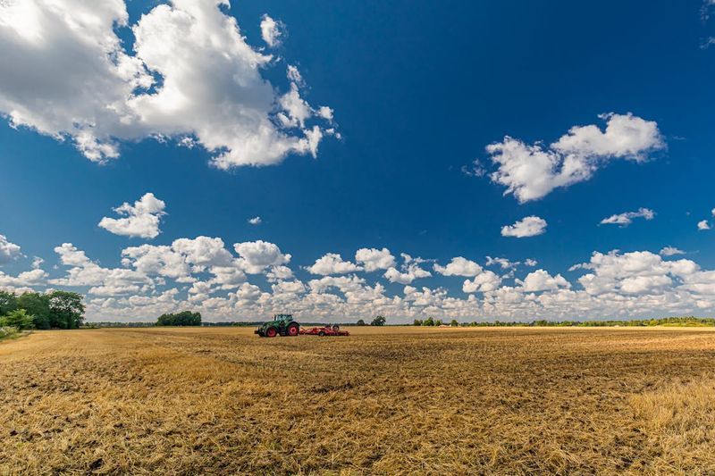 The Best Counties to Buy Land in Wyoming